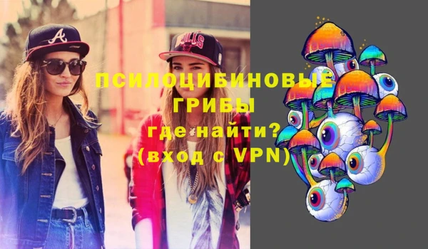 мет Гусев