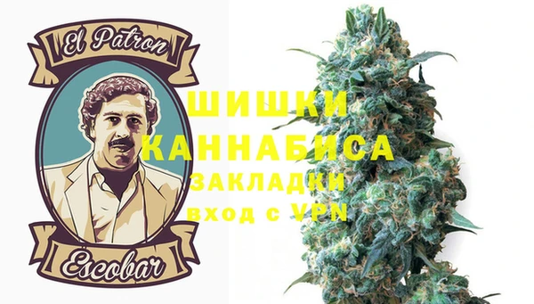 мет Гусев