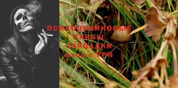 мет Гусев