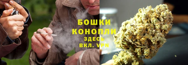 экстази Гусь-Хрустальный