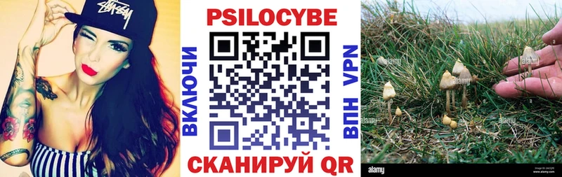 Псилоцибиновые грибы Magic Shrooms  Стерлитамак 